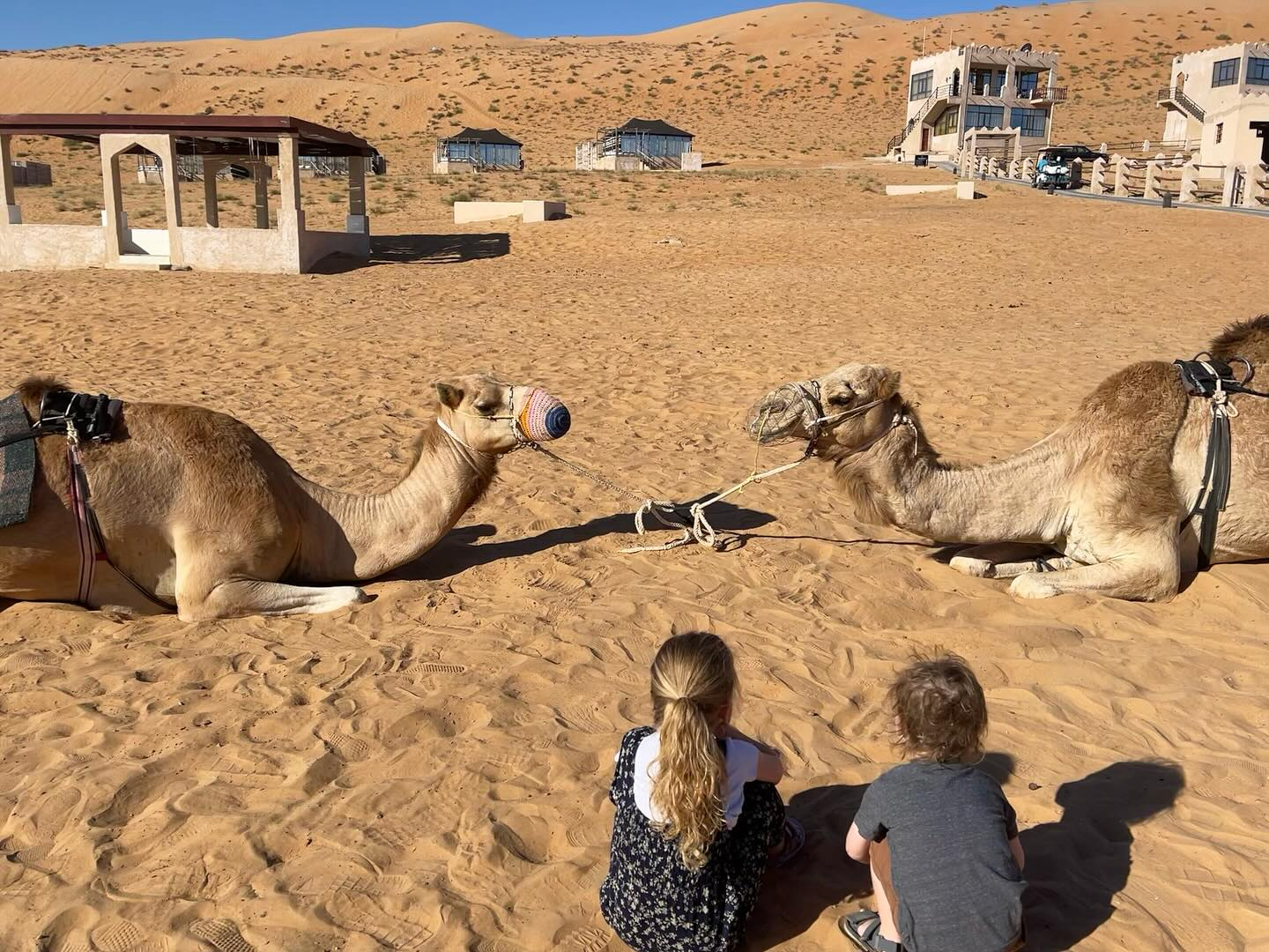 Best Places to Visit in Northern Oman: 10 Breathtaking Highlights