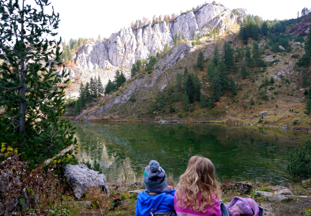 2 young kids facing away looking at a lake in the mountains