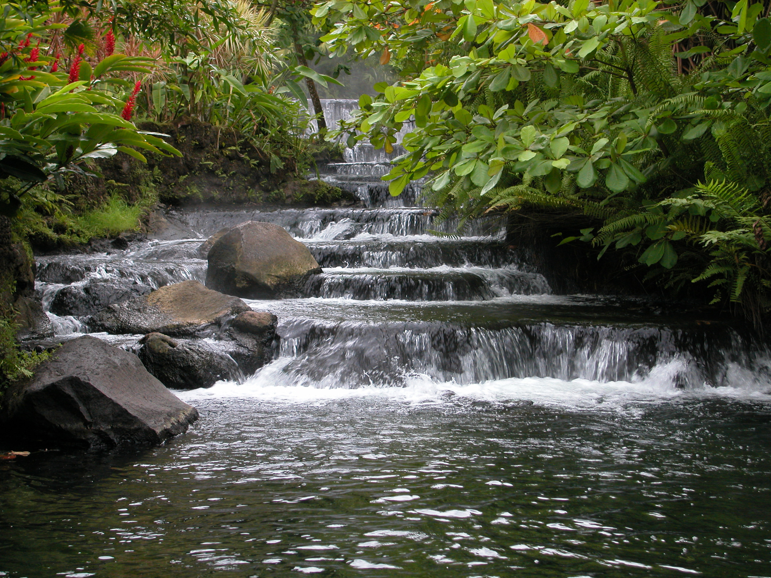 Hot Springs in La Fortuna Costa Rica: Family Guide to the Best Thermal Pools